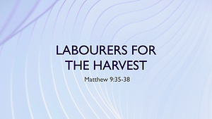 Labourers For The Harvest